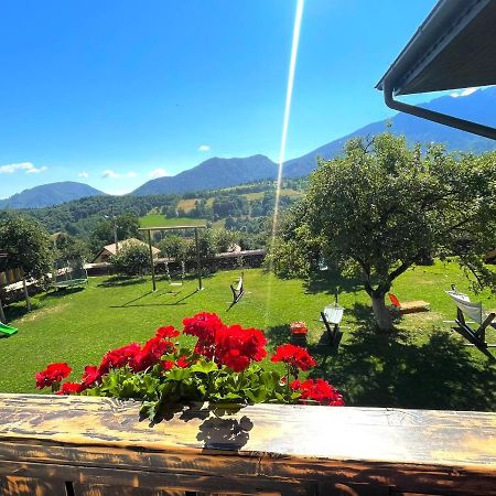 Casa Mesterului Sohodol  Экстерьер фото