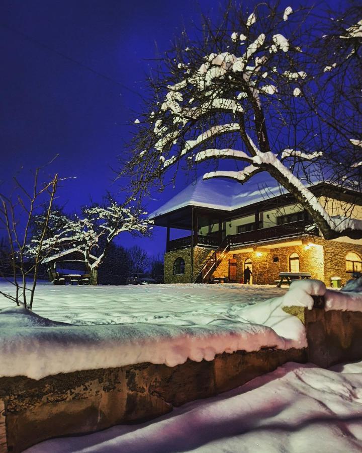 Casa Mesterului Sohodol  Экстерьер фото