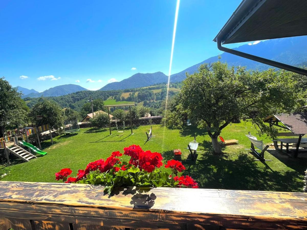 Casa Mesterului Sohodol  Экстерьер фото