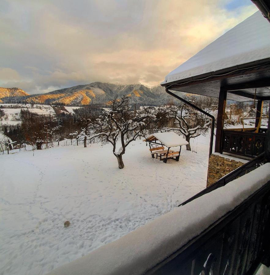 Casa Mesterului Sohodol  Экстерьер фото