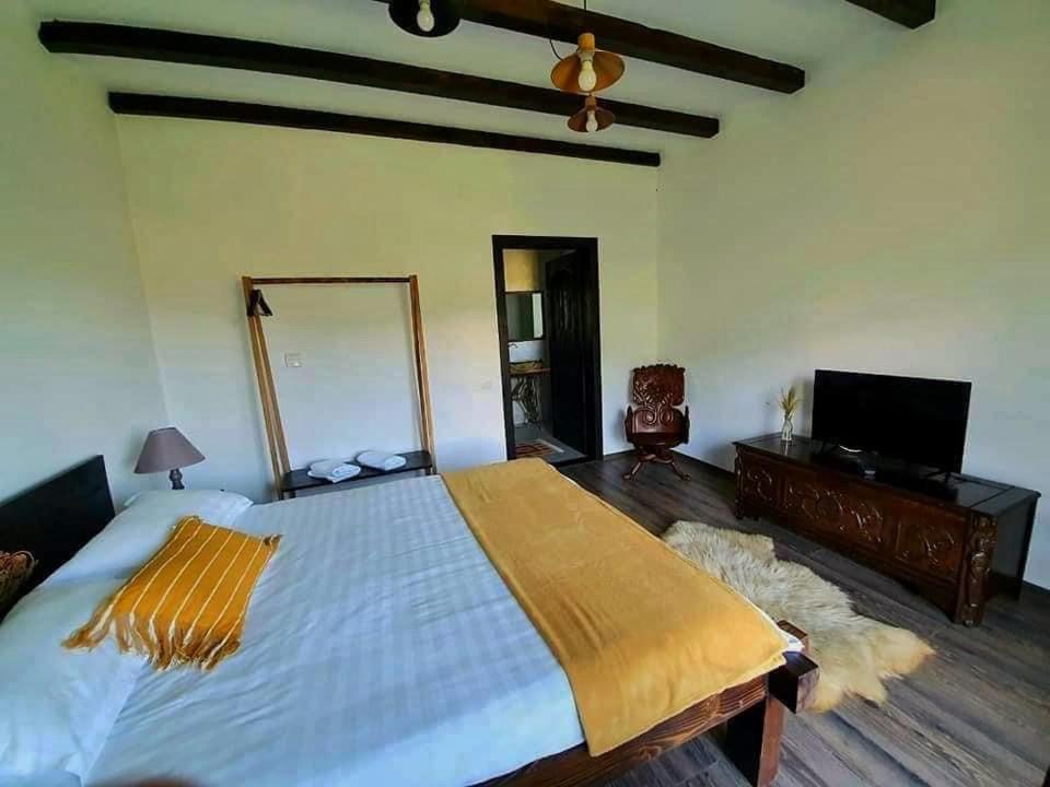 Casa Mesterului Sohodol  Экстерьер фото