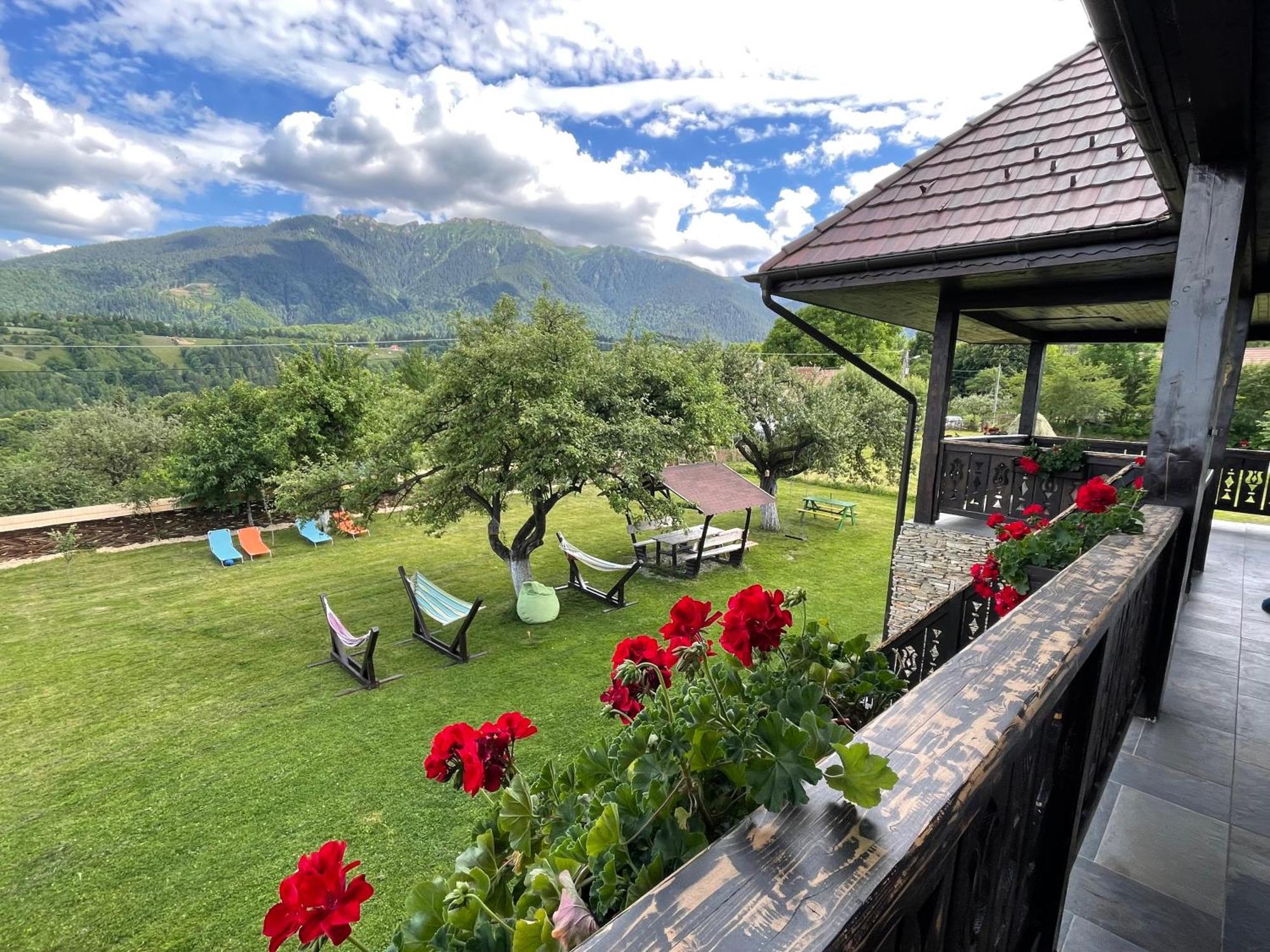 Casa Mesterului Sohodol  Экстерьер фото